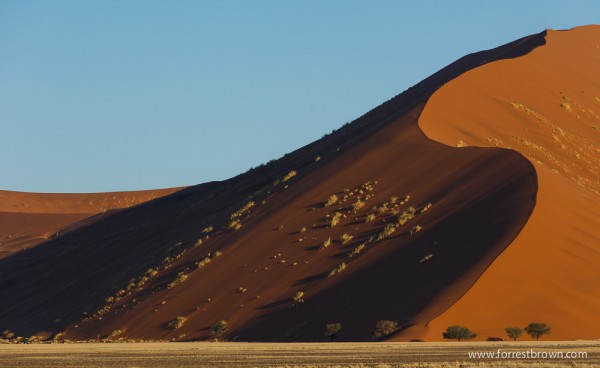 The Sand Dunes in Sossusvlei