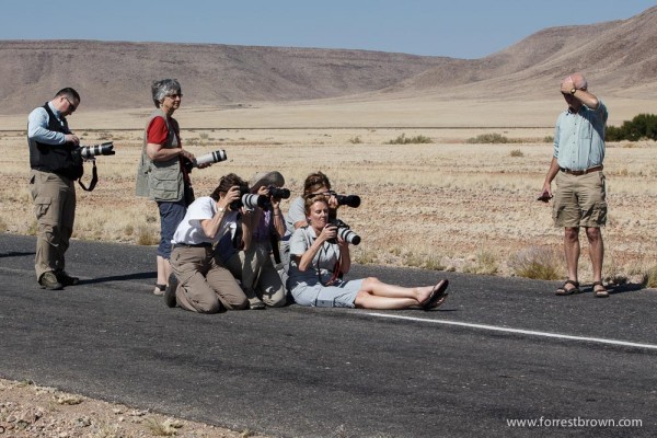 Photographers Stop To play In The Traffic
