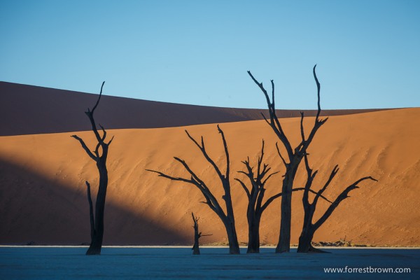Deadvlei in the Namib-Naukluft National Park