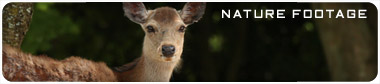 footage_nature_sm